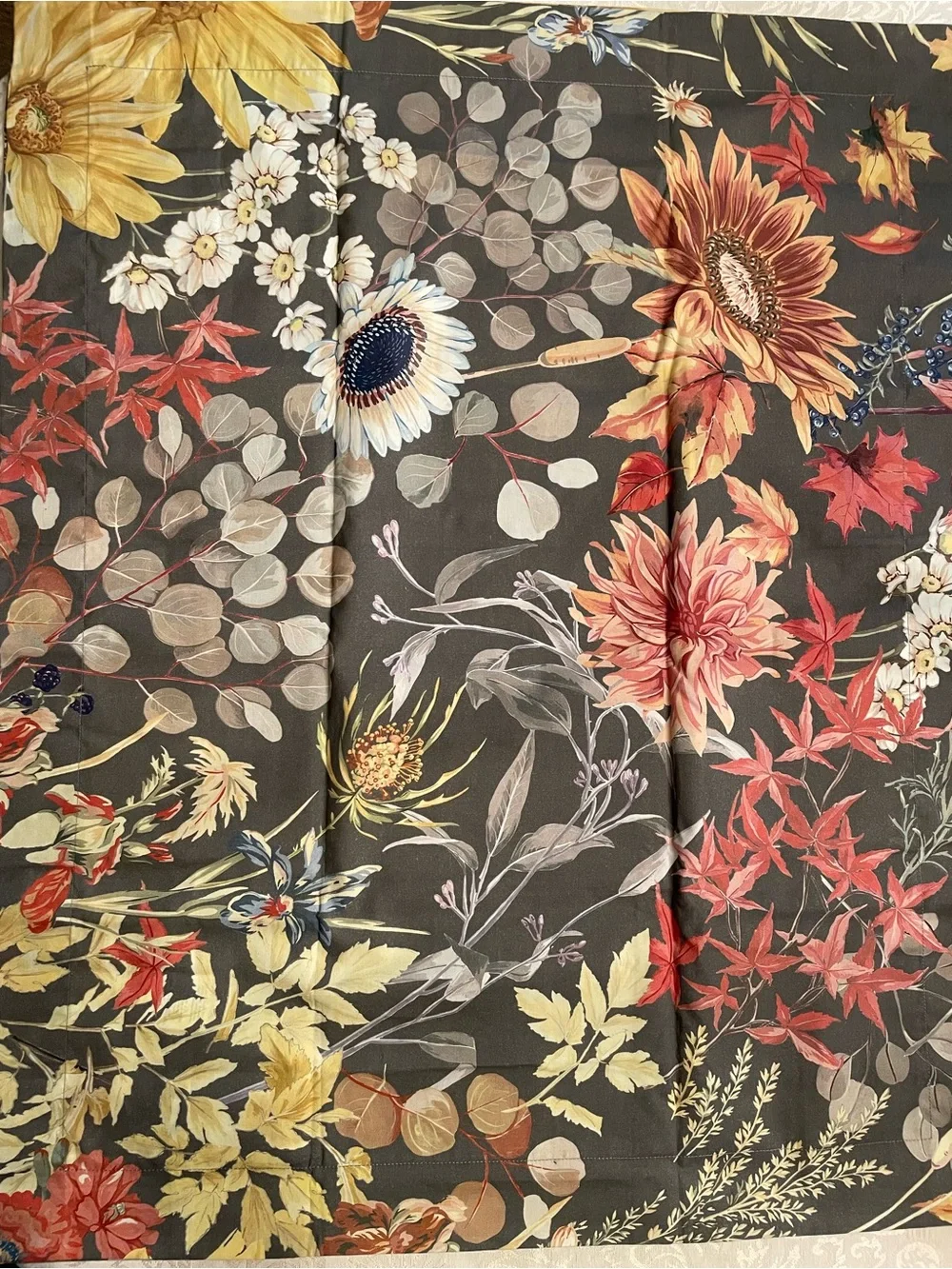 Set of Two Standard Pottery Barn Laurel Floral Shams - Reversible, New with Tags